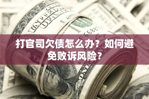 北京打官司欠债怎么办？如何避免败诉风险？