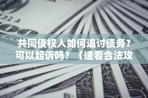 北京共同债权人如何追讨债务？可以起诉吗？（速看合法攻略）