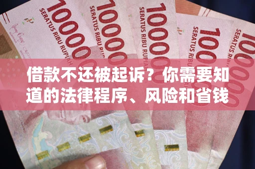北京借款不还被起诉？你需要知道的法律程序、风险和省钱技巧